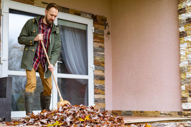 Best Household Junk Removal  in Wilber, NE